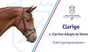 103 Clarigo  Training [upl. by Llorrad]