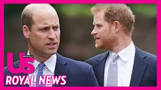 Prince Harry amp Prince William Feud May Result In THIS Devastating Loss According To Expert [upl. by Dunseath36]