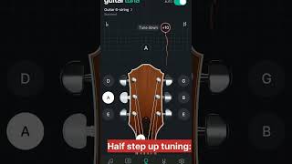 Half step down and up tuning in guitar tuna guitar guitartheory tuning [upl. by Priscella]