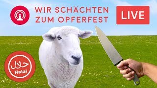 100 Halal Kurban schächten zum Opferfest [upl. by Eicarg]