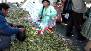 Bolivianos se manifiestan para mostrar bondades de hoja de coca [upl. by Esir]