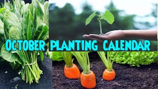 October planting calendar [upl. by Bazil]