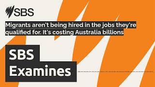 Migrants arent being hired in the jobs theyre qualified for Its costing Australia billions [upl. by Asirrom]