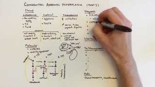 Congenital Adrenal Hyperplasia CAH  1 of 2 [upl. by Henrion]