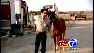 Man shoots horse on video as warning to animal activists [upl. by Carlock]