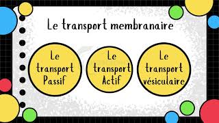 Vidéo 4 Membrane plasmique  Les transports membranaires [upl. by Atinit]