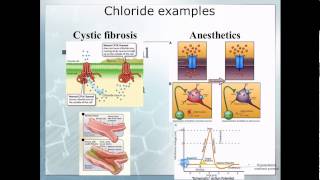 Pathophysiology 10 Electrolyte imbalace [upl. by Ellehcem316]