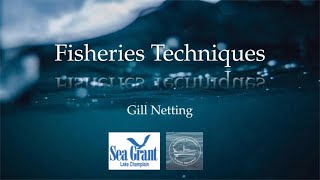 Fisheries Techniques  Gill Netting [upl. by Rasure]