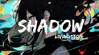 Shadow  lyrics Livingston [upl. by Camella6]