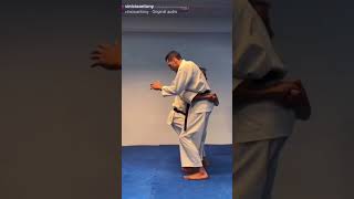 Takedown  Kata Explained  Heian Sandan [upl. by Eastlake]