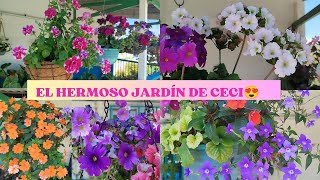 El jardín de Ceci está lleno de muchas flores hermosas 🥰 [upl. by Annawat]