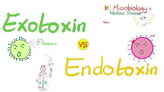 Exotoxins vs Endotoxins  Microbiology 🧫 amp Infectious Diseases 🦠 [upl. by Elleuqram]