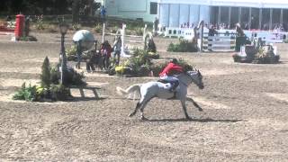 Goliath vd Groenweg  EK Millstreet  jump off Silver medal [upl. by Novick]