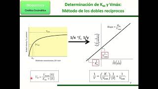 Calculo de Km y Vmax  cinetica enzimatica [upl. by Acirretal]