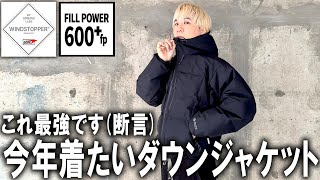 【プロがガチでおすすめ】今季のダウンジャケット多分これが最強です。人気素材WINDSTOPPER ゴアテックスlabを使用したアウターユニクロじゃ決して買えないぜ【アウトドアメンズファッション】 [upl. by Canning]