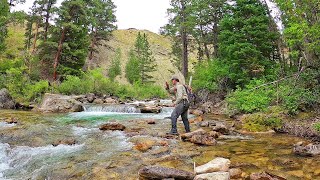 Fly Fishing the most INCREDIBLE Stream in Wyoming  Fly Fishing Wyoming part 3 [upl. by Godewyn]