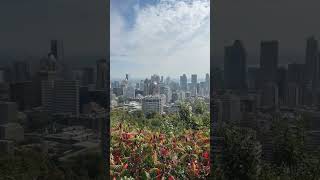 mont royal lookout montreal [upl. by Ainorev940]