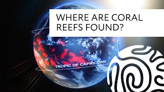 Where Are Coral Reefs Found [upl. by Retla]