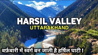 गंगा किनारे उत्तराखंड की सबसे सुंदर Harsil Valley बर्फ़बारी में स्वर्ग बन जाती है Harsil Uttarakhand [upl. by Yrtua]