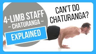 How To Properly Do Chaturanga Dandasana [upl. by Ykcir]