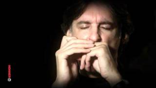 Howard Levy  HOHNER Masters of the Harmonica [upl. by Carita]