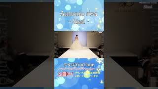 憧れのブランド！アントニオリーヴァANTONIO RIVA ～sissi～ nishikiyagroup 結婚式 ウェディングドレス bridal [upl. by Lebna]