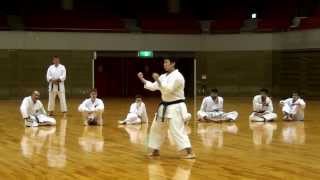 Suparinpei kata Gojuryu version [upl. by Foote914]