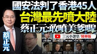 國安法重錘「港獨」！45人被判監4到10年！台灣急喊話「一國兩制完了」！蔡正元：龜孫子！你美爹更狠，你敢噴嗎！BNETVNZ [upl. by Jacobsen]