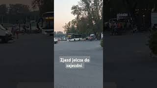 Zjazd jelcza do zajezdni autobus mzk toruń music [upl. by Lareine309]