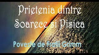 Prietenia dintre Soarece si Pisica de Fratii Grimm Poveste Audio [upl. by Novak]