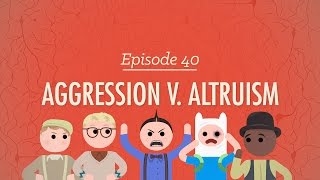 Aggression vs Altruism Crash Course Psychology 40 [upl. by Kcirederf]