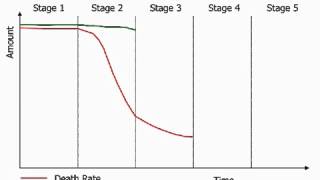 Demographic Transition Model Video 1 [upl. by Mickelson]