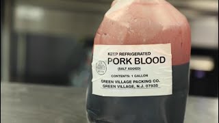 pig blood for president [upl. by Leontyne949]