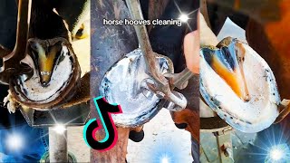 ASMR Horse Hoof Cleaning amp Changing ASMR Satisfying restoration ✨ Animal welfare [upl. by Luciana339]