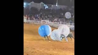 This is RODEO KNOCKERBALL [upl. by Marb]