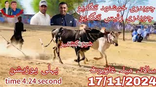 mala dina winer dand 17112024 champion dand sharkashmir time 424 owner ch kashnood ch Raees [upl. by Leena]