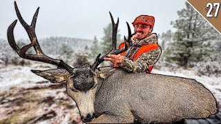 OUR BIGGEST MULE DEER Big Running BUCK DROPPED in Tracks [upl. by Aziul]