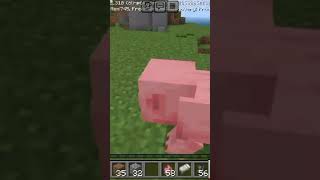 Minecraft minecraft gameplay video [upl. by Ras]