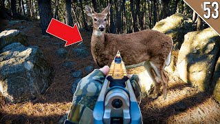 STALKING DEER with a Muzzleloader Late Season Deer Hunting [upl. by Haziza]