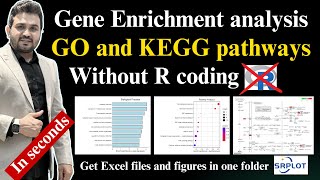 How to perform gene enrichment GO and KEGG pathways analysis with SR plot [upl. by Enna]