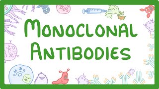 GCSE Biology  Monoclonal Antibodies 40 [upl. by Simonsen]