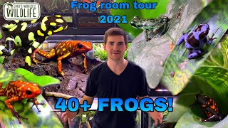 FROGROOM TOUR 2021 40 Frogs [upl. by Larrej]