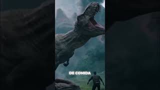 ¡Los Dinosaurios No Están Extintos Siguen Entre Nosotros 🦖➡️🦅 shorts [upl. by Marilin280]