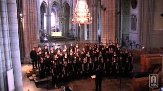 Augustana Choir  Shenandoah [upl. by Akire952]