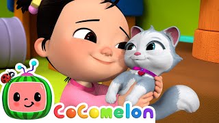 Cece Had a Little Cat  CoComelon Nursery Rhymes amp Kids Songs [upl. by Eiralc984]