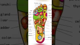 50  Reasons to Massage Your feet every day before sleeping  Foot Acupressure Points [upl. by Macknair]