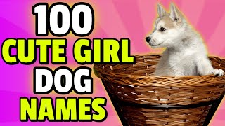 100 Cute Names For A Girl Dog 🎀  Female Dog Names [upl. by Enimaj]