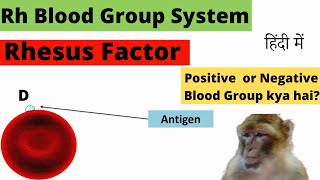 Rh Blood Group System  Rh Blood Grouping  Rhesus Blood Type  Rh system  Rhesus system  Hindi [upl. by Laenahtan]