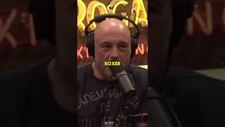 Joe Rogan  Is Tommy Fury A Real Boxer [upl. by Abrahamsen]