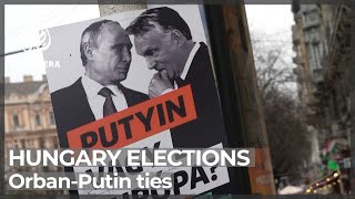 Hungary elections Opposition criticise OrbanPutin ties [upl. by Ellehcen]